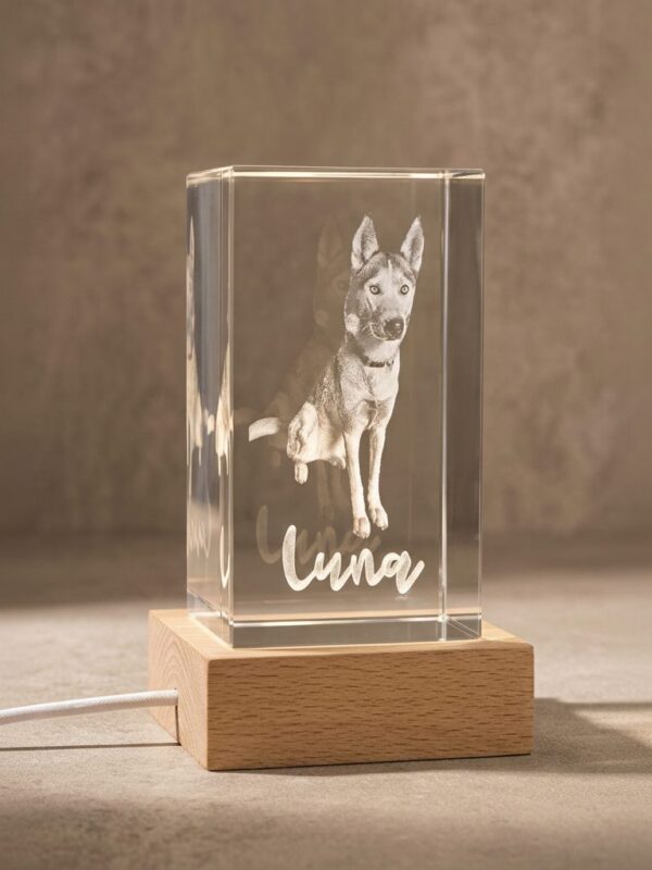 Personalised pet photo 3D engraved crystal on LED base